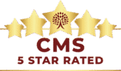 CMS Logo